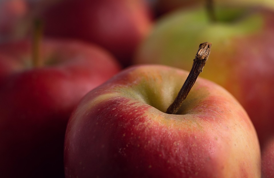 Nutrizione e Prevenzione: Costruire una Vita Sostenibile attraverso Alimenti Sani