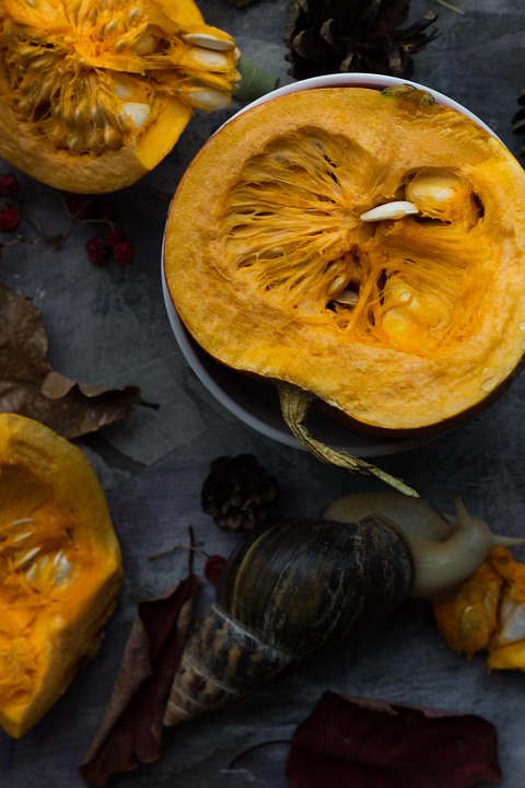 Attività Fisica e Alimentazione: Fondamenti Essenziali per un Stile di Vita Sano