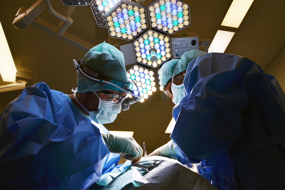 La salute olistica: un approccio integrato per medici e professionisti del benessere