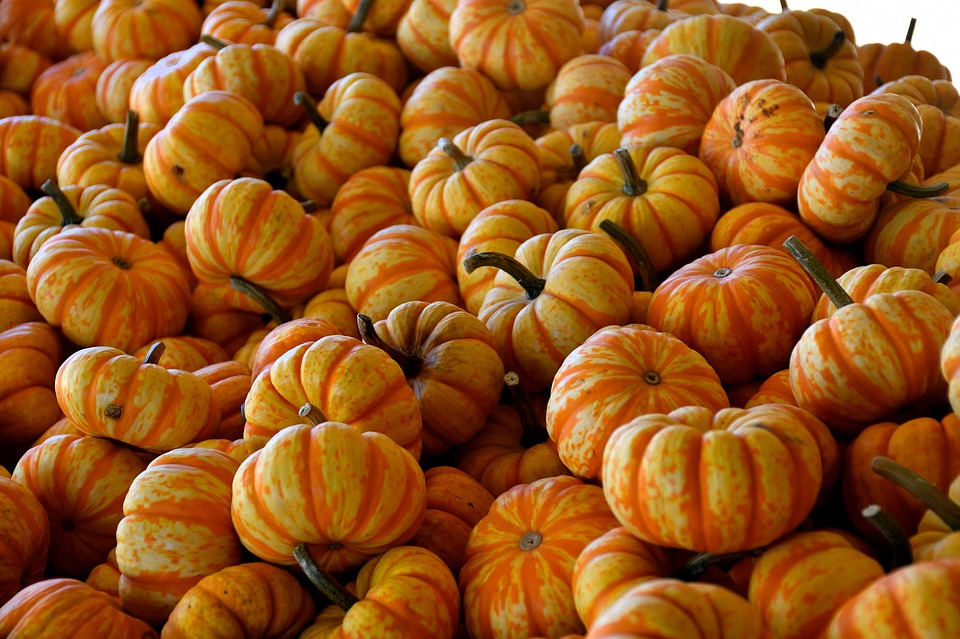 I segreti degli integratori alimentari per una cucina sana e gustosa