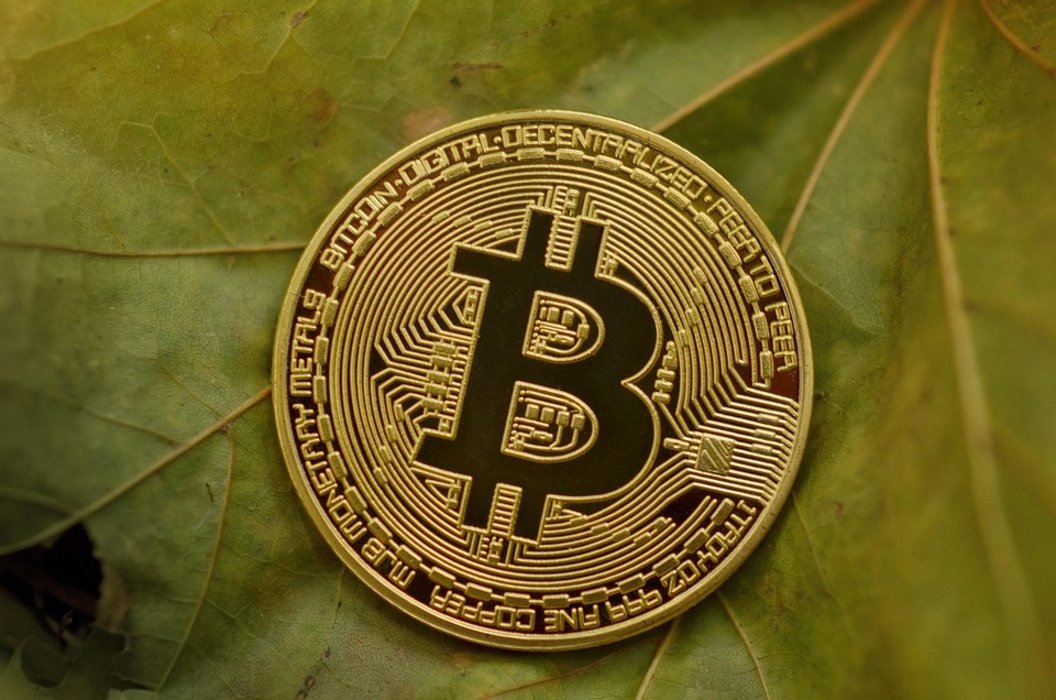 Criptovalute: Come Iniziare il Tuo Viaggio nel Mercato della Valuta Digitale