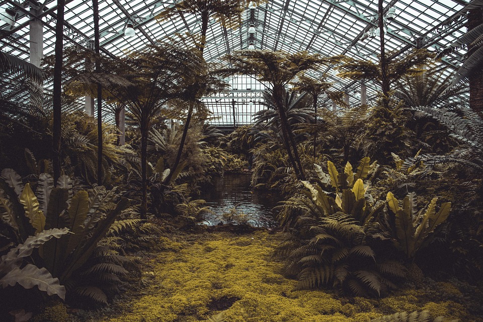 Ripristino della Biodiversità: Strategie per un Pianeta Sostenibile