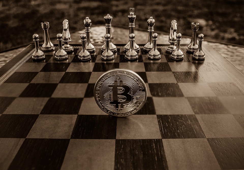 Investire in Criptovalute: Guida Pratica per Principianti