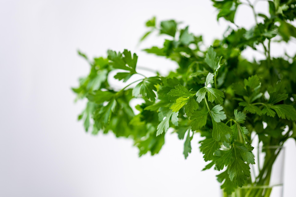 Meditazione e Nutrizione: Un Duo Vincente per il Tuo Benessere