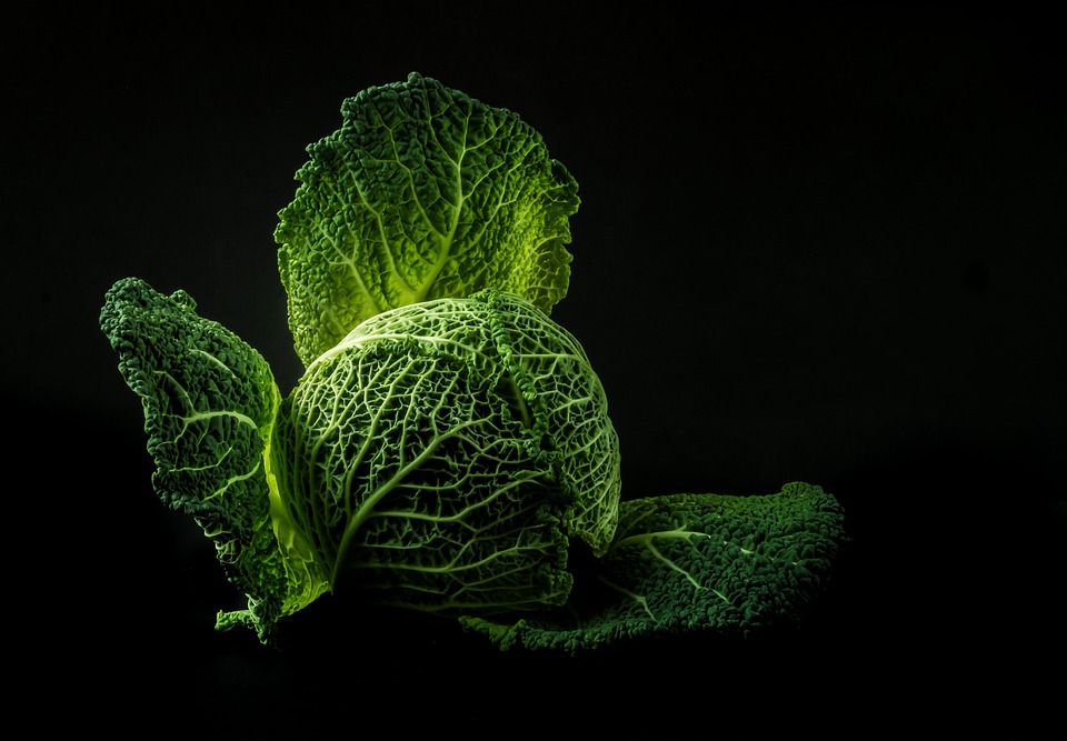 Cibo Biologico: Una Scelta Consapevole per Ristoratori e Chef